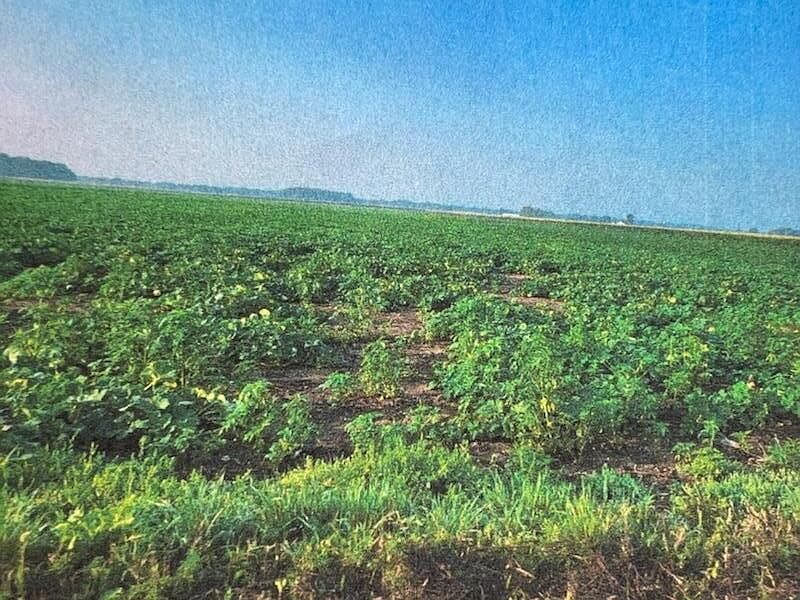 1st image of 950 South