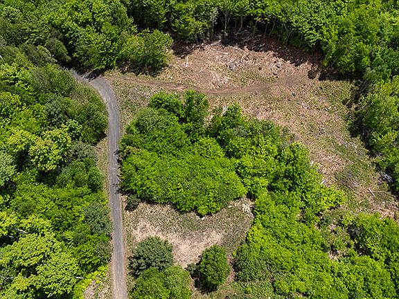 5th image of 47 Mount Pisgah