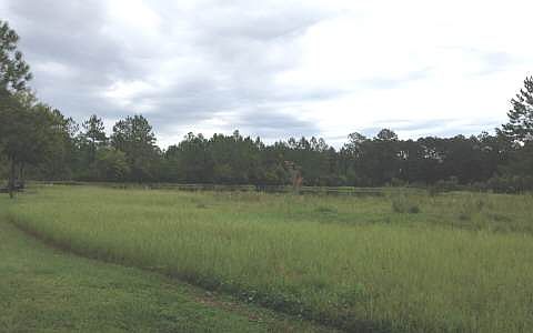 2nd image of 25712 Highway 301 N