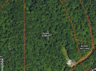 312 Tunnel Br, Jenkins, KY 41537