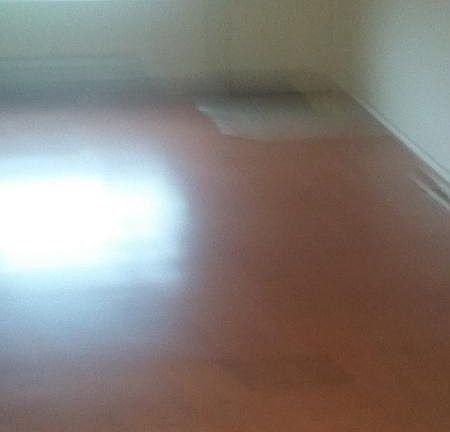 2nd image of 8318 59th Ave E