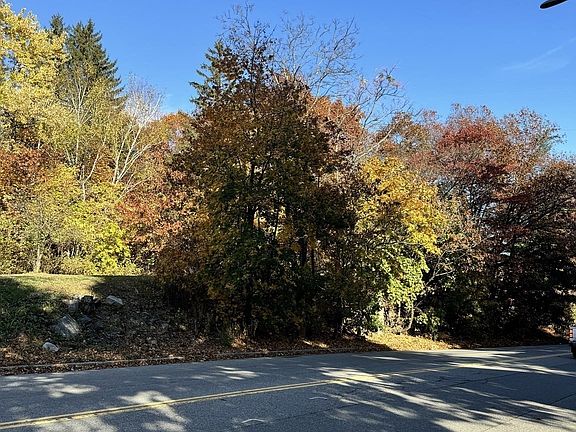 3rd image of 483 Sunderland Rd