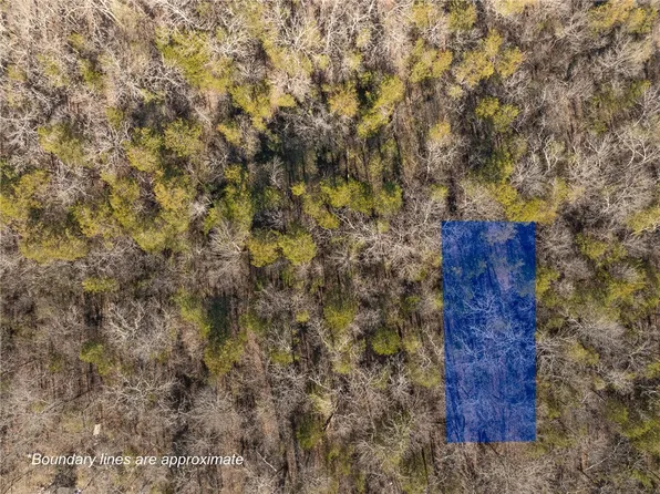 62 E Fawn St, Lead Hill, AR 72644