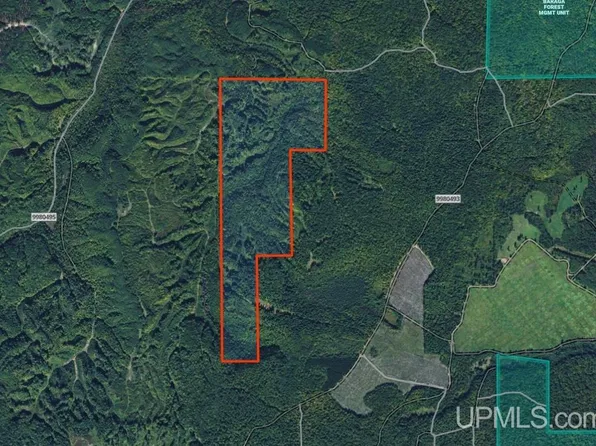 Off Menge Creek Rd, Baraga, MI 49908