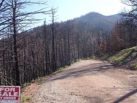 2nd image of Houchin Blvd