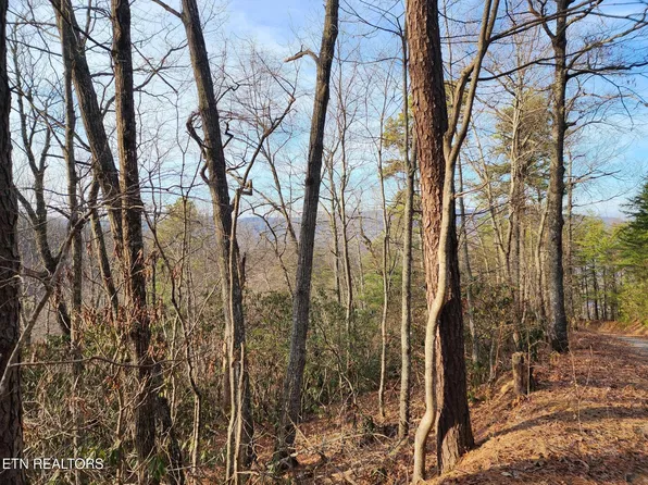 3008 Overholt Trl #8R, Sevierville, TN 37862