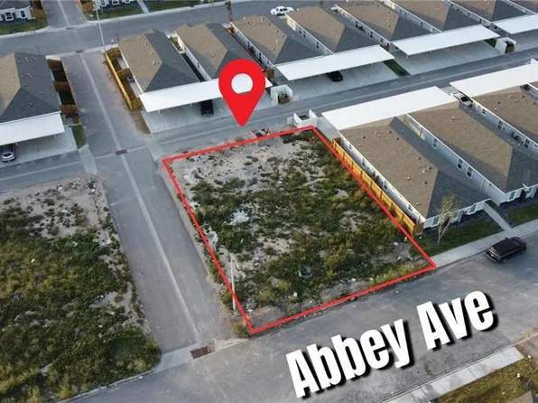 919 Abbey Ave, Edinburg, TX 78539