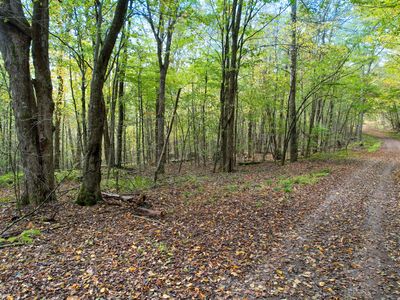 0 Easy St, Hancock, NY, 13783