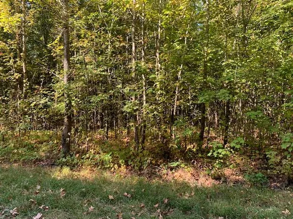 1985 Winsett Rd, Springville, TN 38256