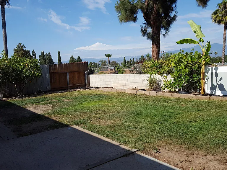 Backyard