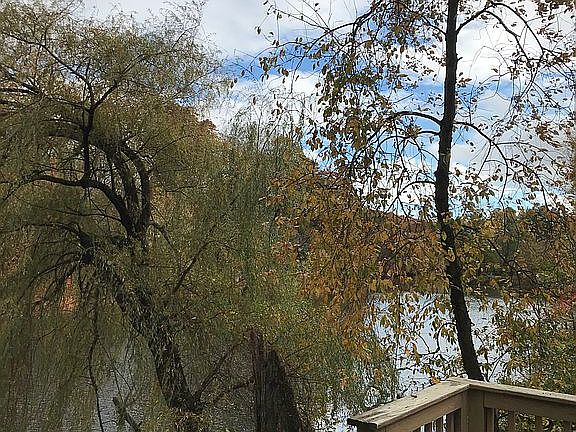 Deck view of Esopus Creek