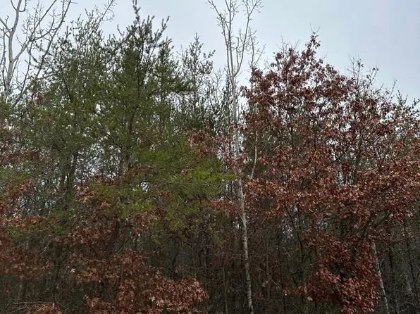 On Cth Y #4069-1, Tomahawk, WI 54487