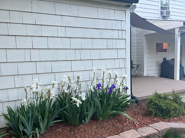 3719 E Elmwood Dr — Photo 52