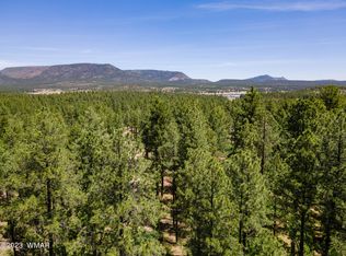 13 County Road 2122 N, Alpine, AZ 85920