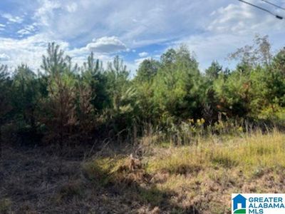 0 Cove Shocco Rd #0, Talladega, AL, 35160