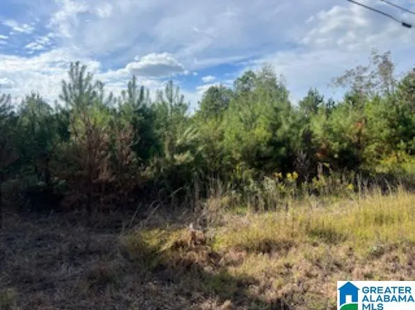 0 Cove Shocco Rd #0, Talladega, AL 35160