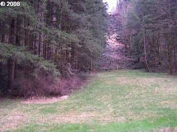 2nd image of 32710 SE Wood Dr