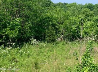 899 Mount Zion Rd, Springfield, KY 40069