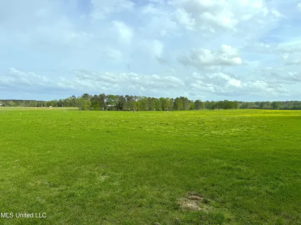 2509 Bogue Chitto Rd SW, Smithdale, MS 39664