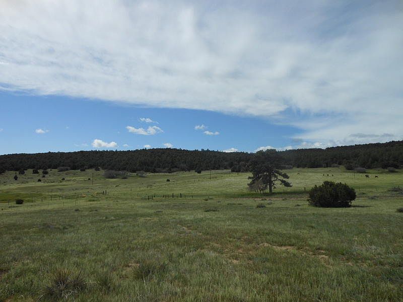 1st image of 71 Acres On County Road 332