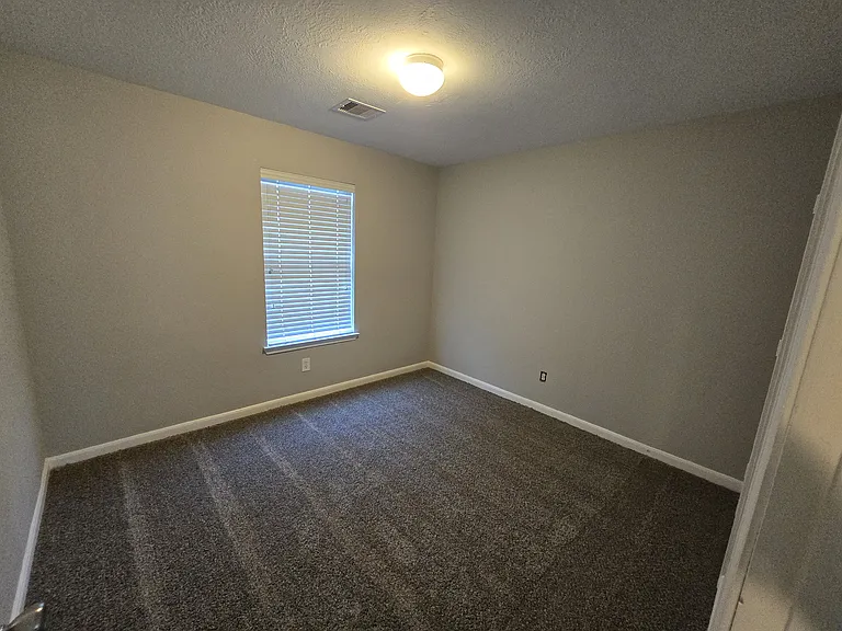 339 Silky Leaf Dr — Photo 16