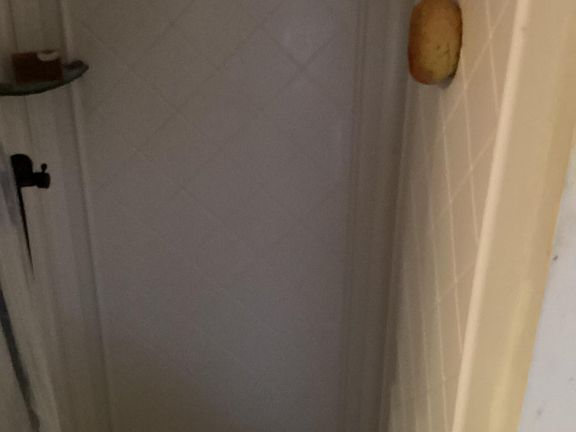 4th image of 910 Elmira Ave #2