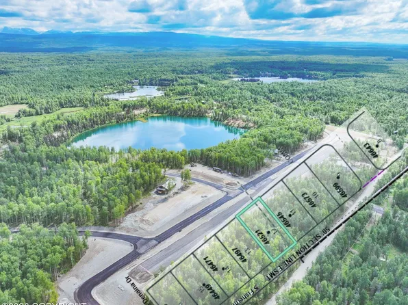 46521 S Fishermans Hop Rd, Willow, AK 99688