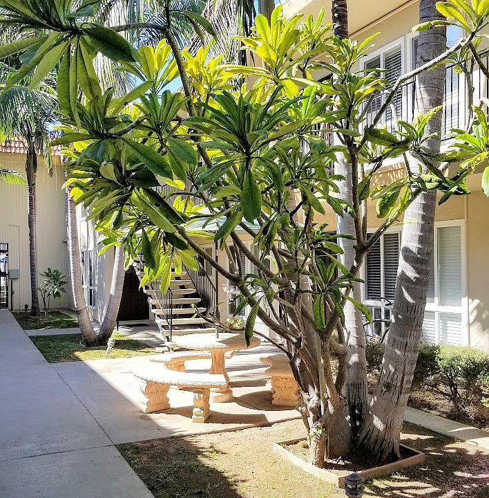 1st image of 4463 Idaho St APT 3