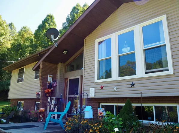 2458 Halls Run Rd, Bristol, WV 26426