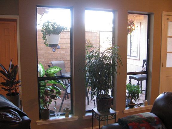 5th image of 3901 Driftwood Dr