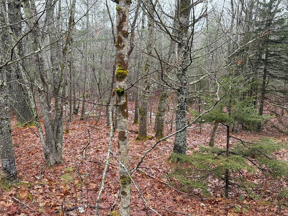 2nd image of Lot 068003 Shore Road