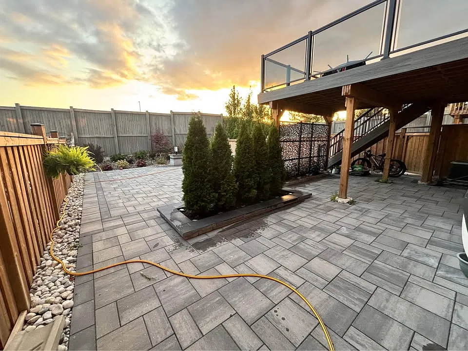 Backyard