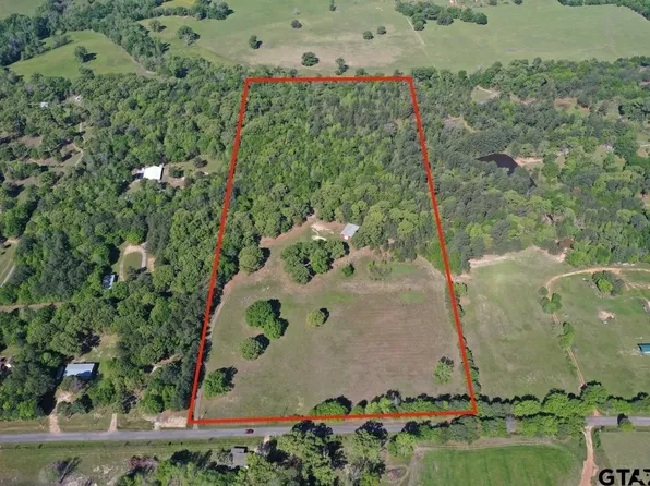 10698 County Road 2222, Arp, TX 75750