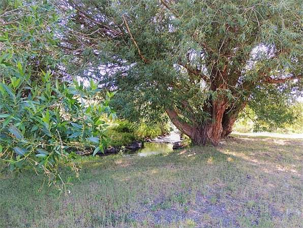 1st image of 1169 County Road 15