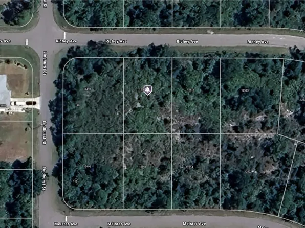 12507 Richey Ave, Port Charlotte, FL 33953