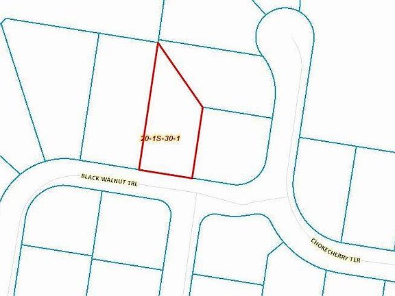 3rd image of 953 Black Walnut Trl