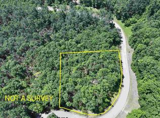 3480 Needles Dr, Harbor Springs, MI 49740