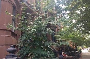 2nd image of 155 6th Ave