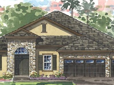 21310 Chrysalis Cay Loop, Land O Lakes, FL, 34637