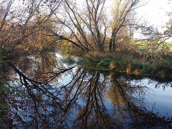 Coon creek from trail.