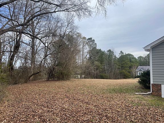 Looking north from backyard.