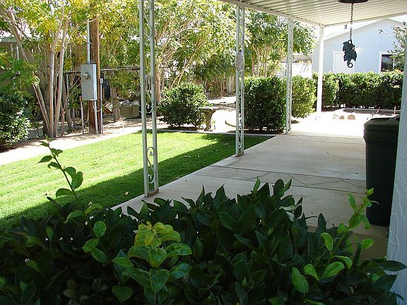 Back yard 