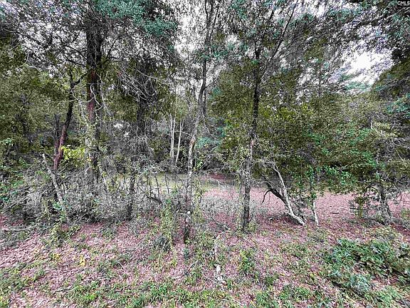 3rd image of LOT Warbonnet Rd #B