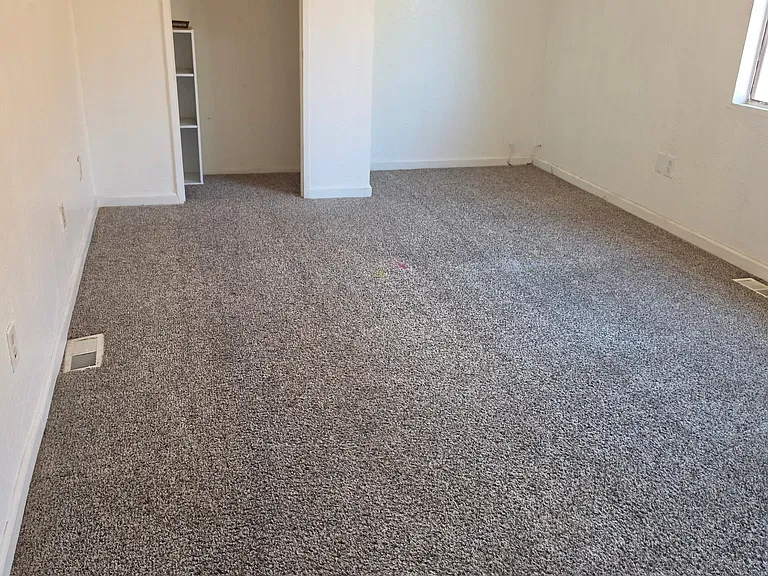 Master bedroom with carpet