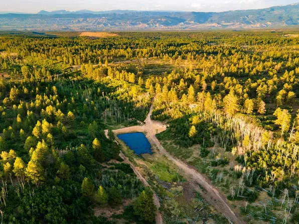 Government Springs Rd, Montrose, CO 81403