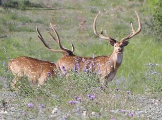 1950 Tolles Rd, Menard, TX 76859