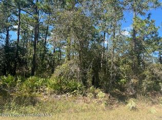 17334 Nutcracker Rd, Weeki Wachee, FL 34614