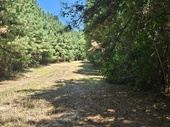 0 Bull Mountain Blvd, Hodges, AL 35571