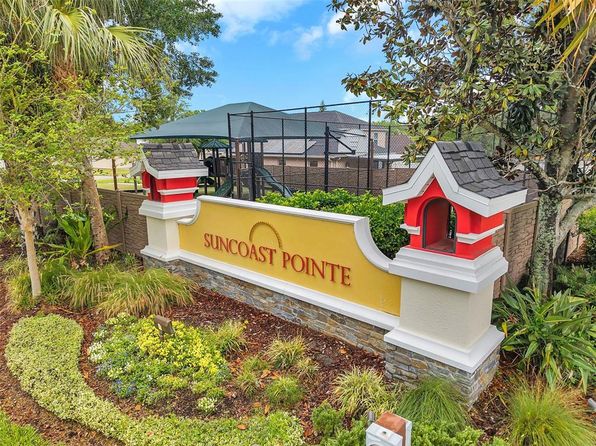 2907 Mingo Dr, Land O Lakes, FL 34638