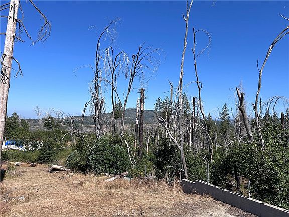 5th image of 17 Big Oak Ln